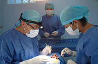 Instalaciones de Implantoperio